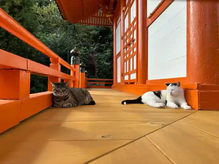 龍泉寺(愛知県)