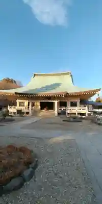 豪徳寺の本殿・本堂