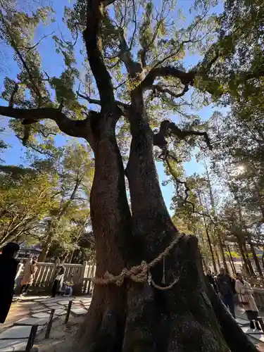 伊弉諾神宮(兵庫県)