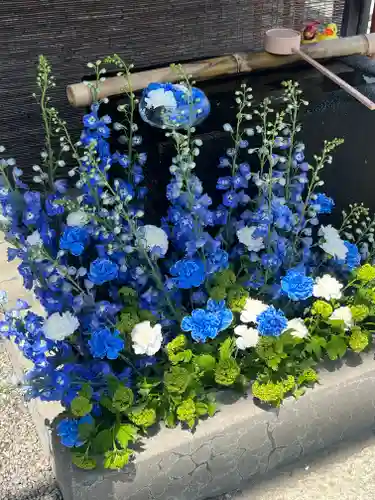 上尾御嶽神社の手水舎