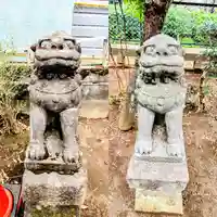 新萱田水神宮の狛犬