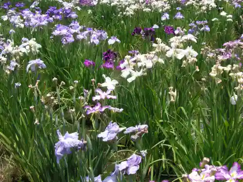 護国寺(山口県)