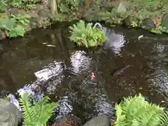 秩父今宮神社(埼玉県)