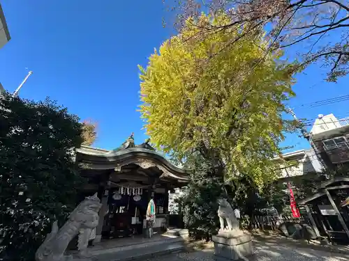 大鳥神社(東京都)