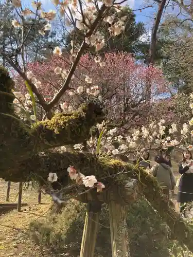 成田山新勝寺(千葉県)
