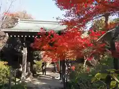 本土寺(千葉県)