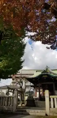 綾瀬神社の本殿・本堂