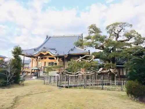 圓鏡寺の本殿・本堂