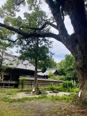 曽許乃御立神社(静岡県)