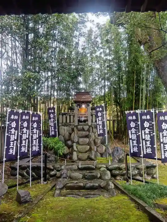 白金龍王社(愛知県)