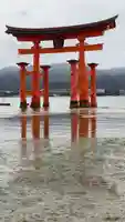 厳島神社(広島県)