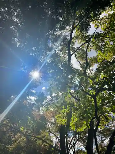 慈照寺（慈照禅寺・銀閣寺）(京都府)
