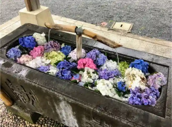 賀茂別雷神社の手水舎