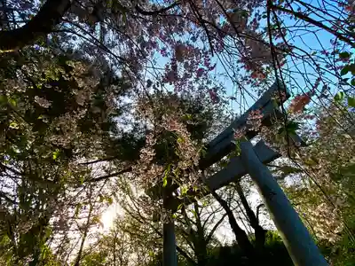 皆神神社(長野県)