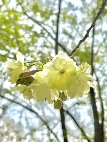 蚊里田八幡宮の{uncategorized: "未分類", other: "その他", undefined: "問題あり", building: "その他建物", grave: "お墓", sacred_gate: "鳥居", guardian: "狛犬", statue: "像", buddha: "仏像", history: "歴史", nature: "自然", garden: "庭園", animal: "動物", pagoda: "塔", temizu: "手水舎", mountain_gate: "山門・神門", sanctuary: "本殿・本堂", subordinate: "末社・摂社", art: "芸術", scenery: "景色", jizo: "地蔵", ema: "絵馬", goshuin: "御朱印", omikuji: "おみくじ", items: "授与品その他", amulet: "お守り", goshuincho: "御朱印帳", eats: "食事", festival: "お祭り", votive_dance: "神楽", shichigosan: "七五三参", wedding: "結婚式", experience: "体験その他", initially: "初詣", around: "周辺", anti_infection: "感染症対策"}