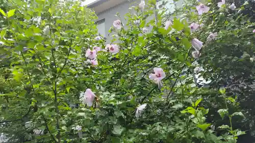 梨木神社(京都府)
