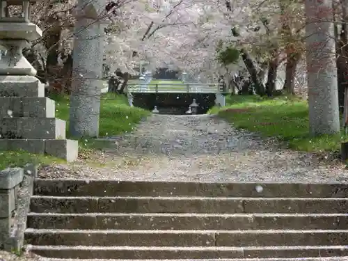 天津神社の建物その他