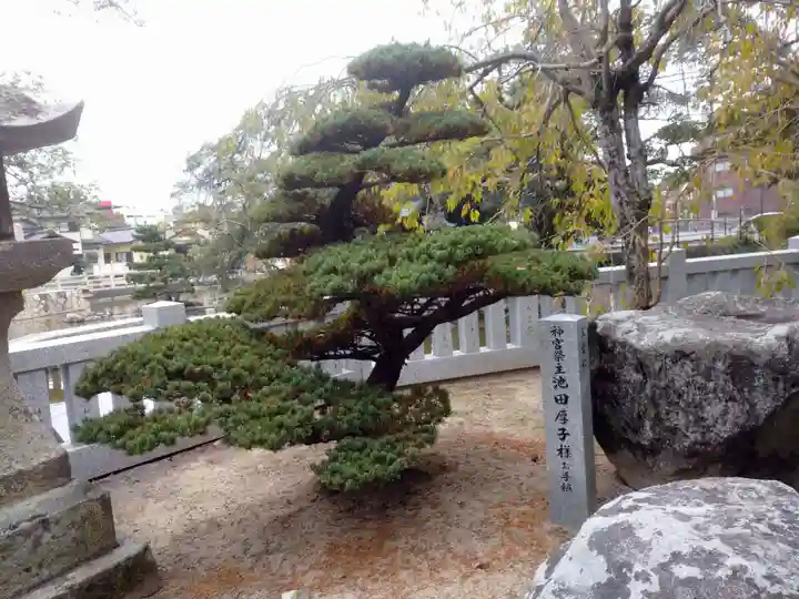 住吉神社の自然