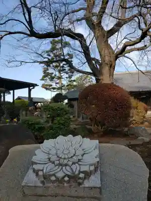 多聞院(東京都)
