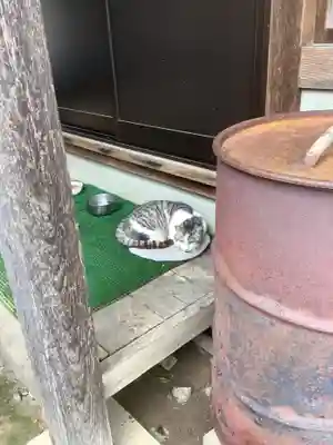 八大龍王本殿の動物