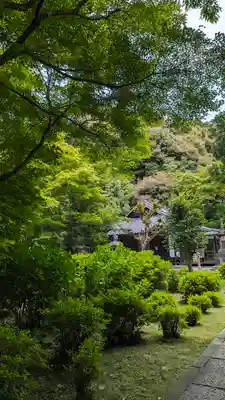 来迎院(京都府)