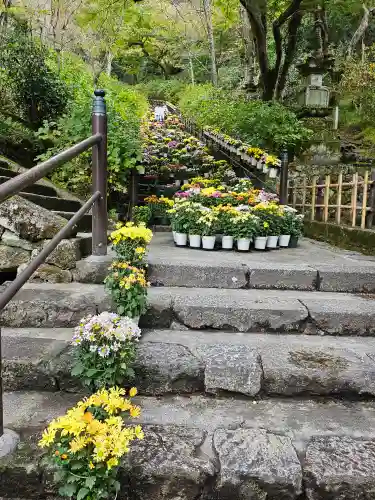 長谷寺(奈良県)