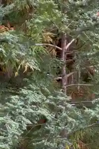 蚊里田八幡宮(長野県)(2025年10月22日(水) 15時57分51秒投稿)