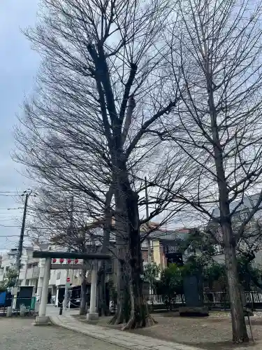 西早稲田天祖神社の{uncategorized: "未分類", other: "その他", undefined: "問題あり", building: "その他建物", grave: "お墓", sacred_gate: "鳥居", guardian: "狛犬", statue: "像", buddha: "仏像", history: "歴史", nature: "自然", garden: "庭園", animal: "動物", pagoda: "塔", temizu: "手水舎", mountain_gate: "山門・神門", sanctuary: "本殿・本堂", subordinate: "末社・摂社", art: "芸術", scenery: "景色", jizo: "地蔵", ema: "絵馬", goshuin: "御朱印", omikuji: "おみくじ", items: "授与品その他", amulet: "お守り", goshuincho: "御朱印帳", eats: "食事", festival: "お祭り", votive_dance: "神楽", shichigosan: "七五三参", wedding: "結婚式", experience: "体験その他", initially: "初詣", around: "周辺", anti_infection: "感染症対策"}