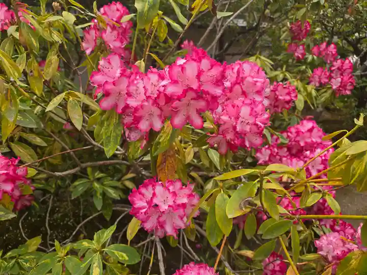 室生寺(奈良県)