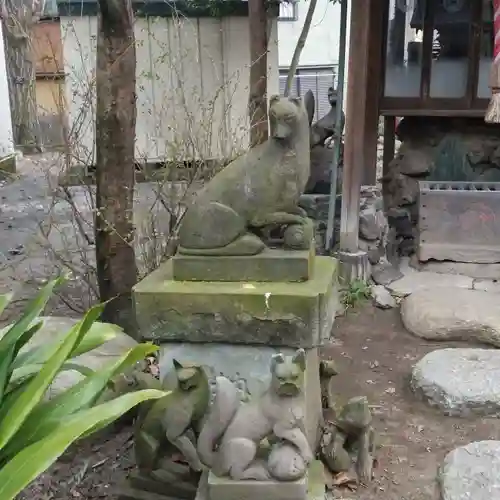 上平井天祖神社の狛犬