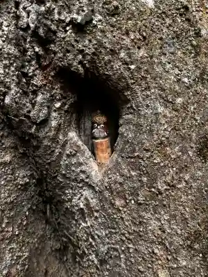 一言主神社(茨城県)