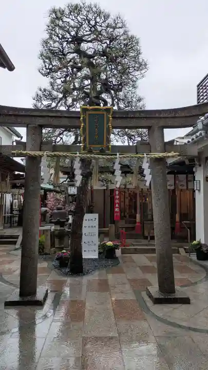 市比賣神社(京都府)