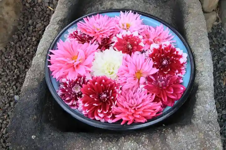 大鏑神社の手水舎