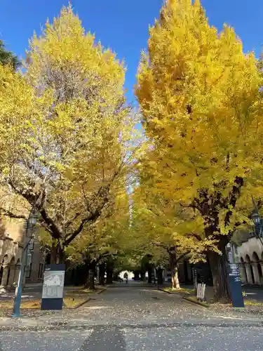 靖國神社の景色