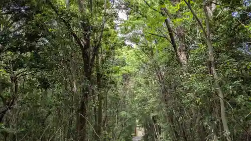 護皇神社の自然