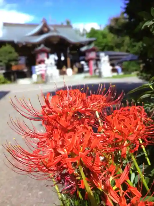 鷺宮八幡神社(東京都)