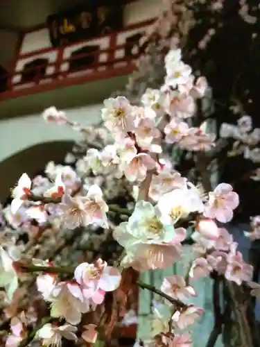 成願寺(東京都)