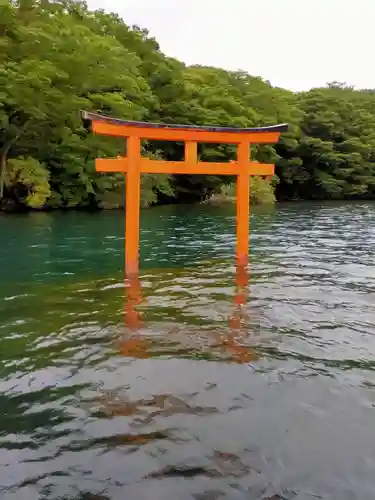 九頭龍神社本宮の鳥居