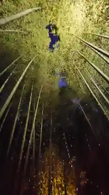 高台寺（高台寿聖禅寺・高臺寺）(京都府)