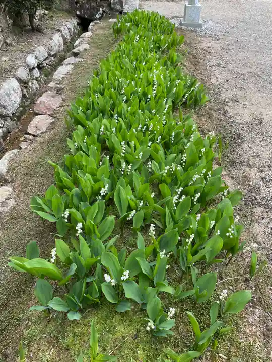 永澤寺(兵庫県)