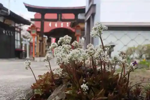 大鏑神社の庭園