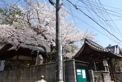 存光寺(広島県)