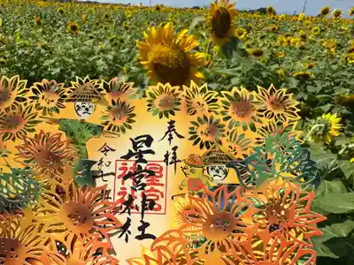 下野 星宮神社(栃木県)