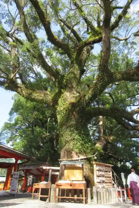 熊野那智大社の自然
