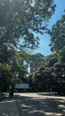 明治神宮(東京都)