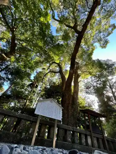久能山東照宮の{uncategorized: "未分類", other: "その他", undefined: "問題あり", building: "その他建物", grave: "お墓", sacred_gate: "鳥居", guardian: "狛犬", statue: "像", buddha: "仏像", history: "歴史", nature: "自然", garden: "庭園", animal: "動物", pagoda: "塔", temizu: "手水舎", mountain_gate: "山門・神門", sanctuary: "本殿・本堂", subordinate: "末社・摂社", art: "芸術", scenery: "景色", jizo: "地蔵", ema: "絵馬", goshuin: "御朱印", omikuji: "おみくじ", items: "授与品その他", amulet: "お守り", goshuincho: "御朱印帳", eats: "食事", festival: "お祭り", votive_dance: "神楽", shichigosan: "七五三参", wedding: "結婚式", experience: "体験その他", initially: "初詣", around: "周辺", anti_infection: "感染症対策"}