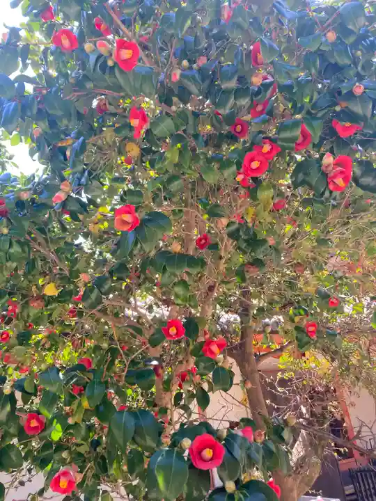 和歌浦天満宮の自然