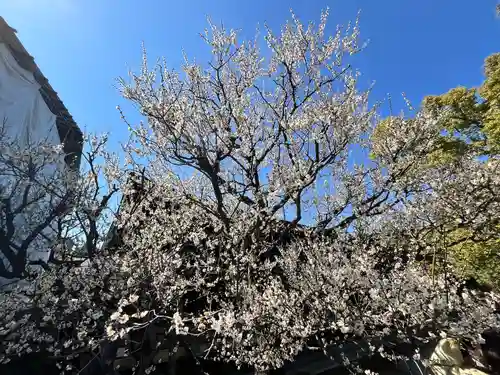 城南宮(京都府)