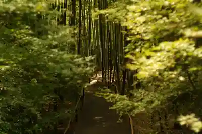 高台寺（高台寿聖禅寺・高臺寺）(京都府)