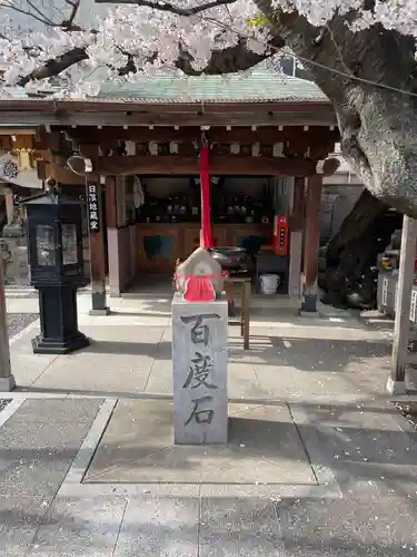 釋迦院（釈迦院）の体験その他